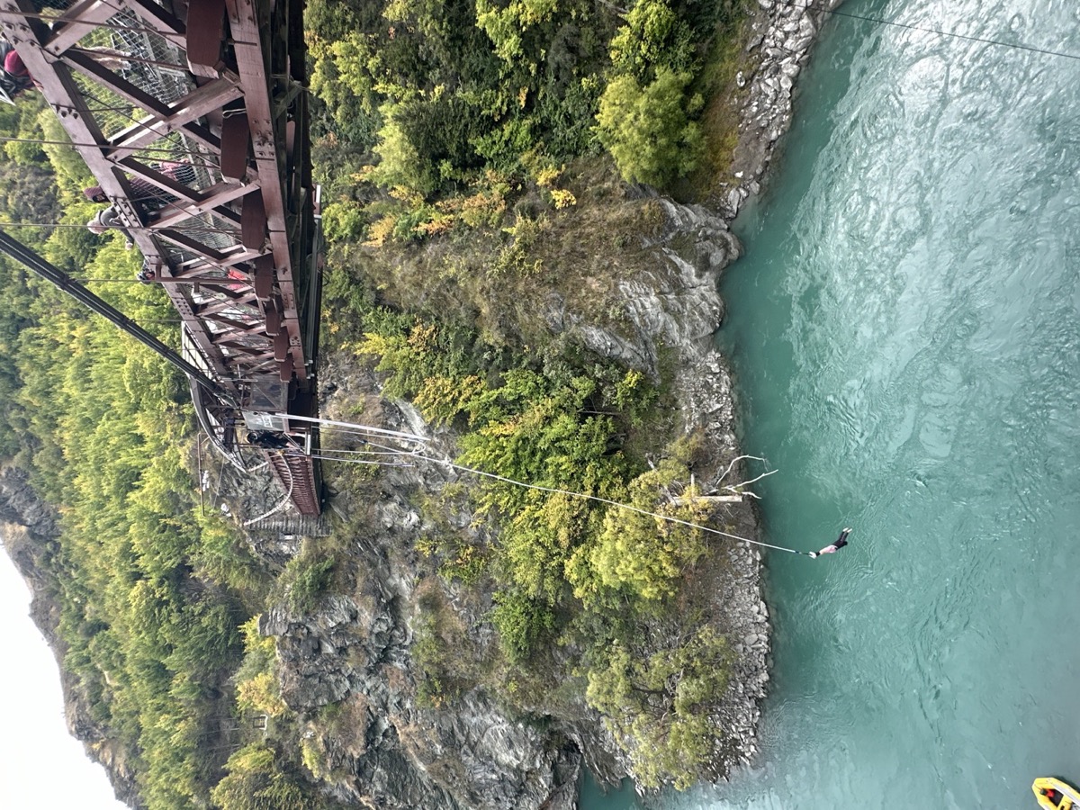 Baxter at the bungy site.