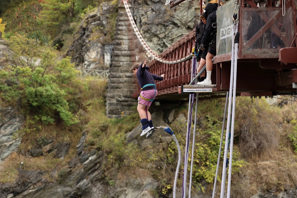 Baxter on the bungy platform.