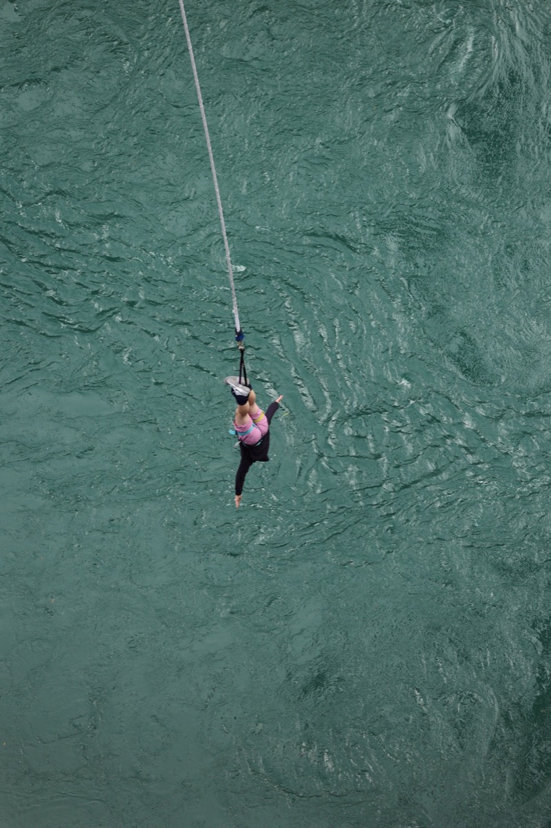 Baxter beginning the bungy jump.